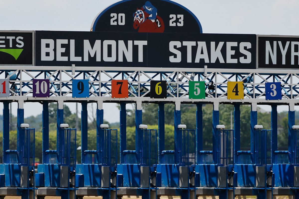 An empty starting gate at Belmont Park