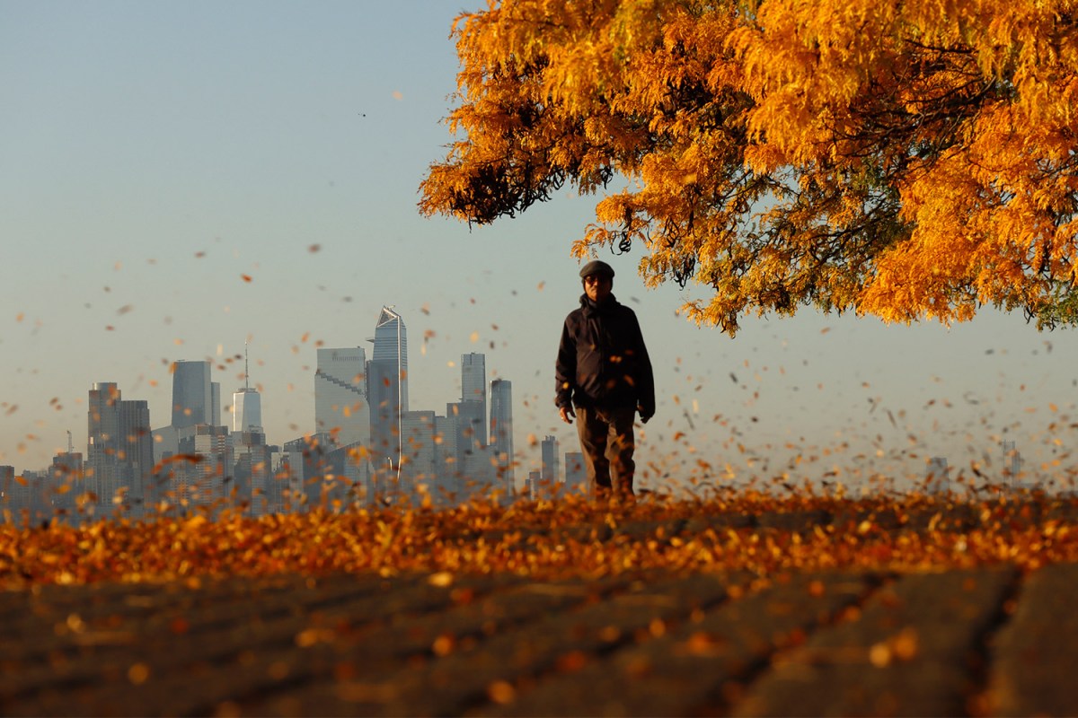 A man walking amongst swirling leaves, with a skyline in the background.