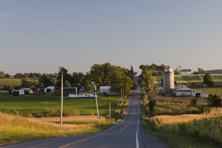 A countryside road in late afternoon.