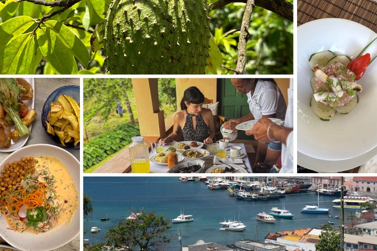 food experiences in grenada