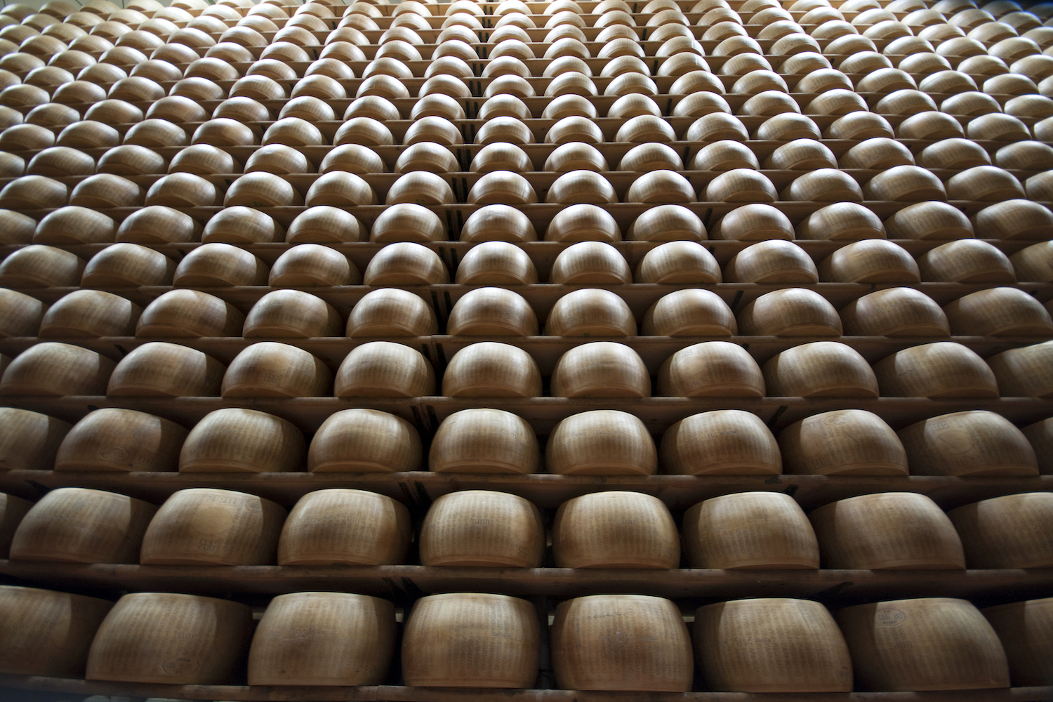 a wall of hundreds of wheels of parmigiano reggiano cheese