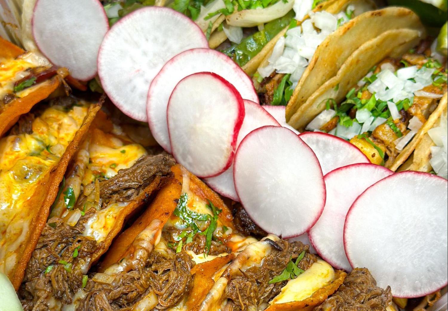 Close-up of tacos and radishes