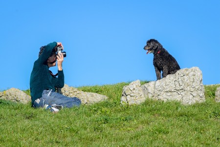 A photographer takes a shot of a dog, with blue sky behind.