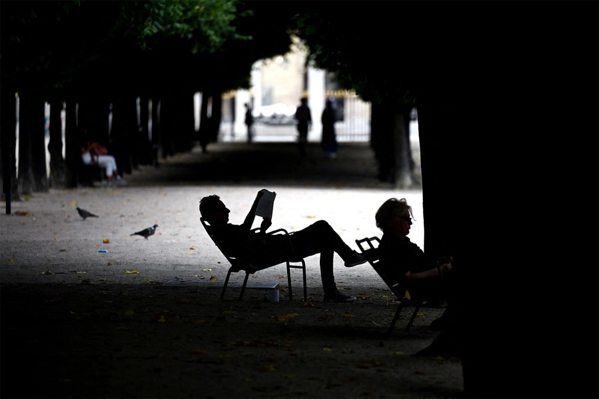 A man reading a book in a park.