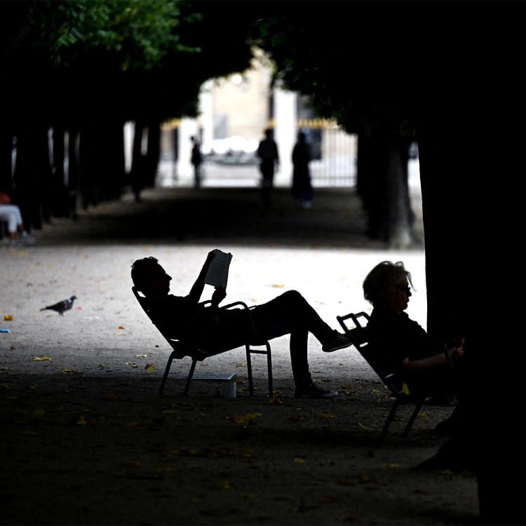 A man reading a book in a park.