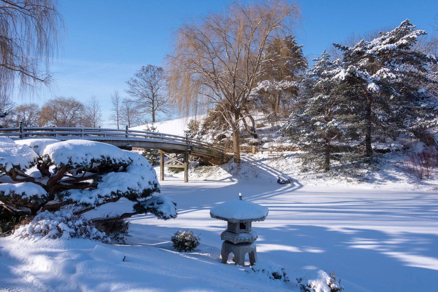 bridge and garden covered in snow