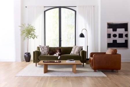 My Couch Kicked the Bucket. BenchMade Modern Saved the Day.