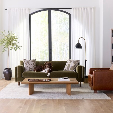 benchmade modern Skinny Fat Sofa and Eva Chair