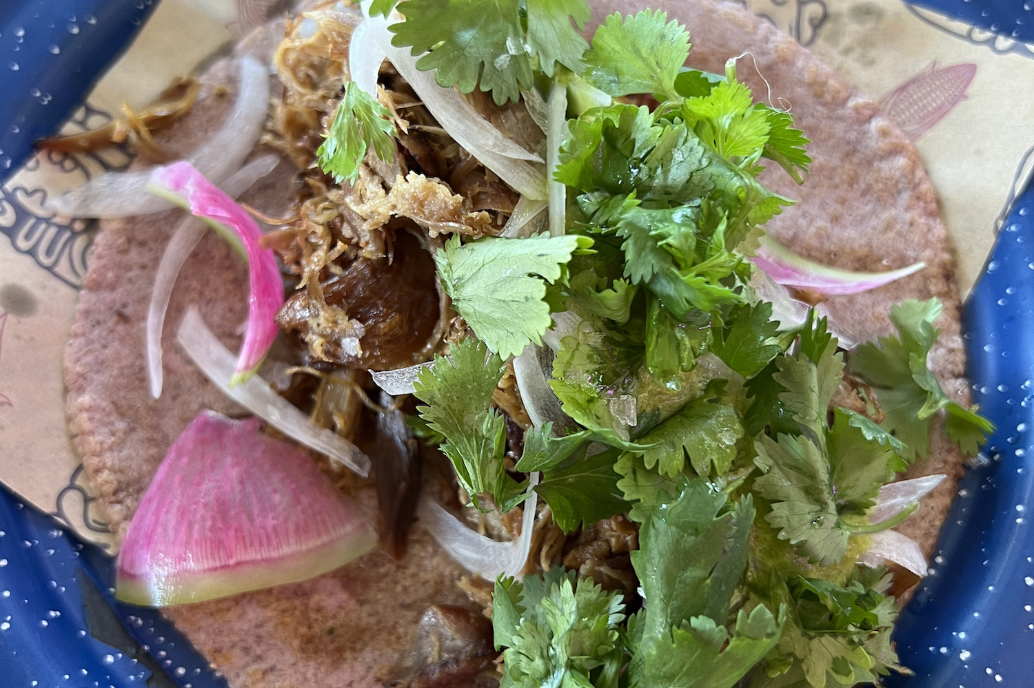 Close-up of Nixta Taqueria’s duck carnitas taco, one of the best breakfast tacos in Austin, Texas