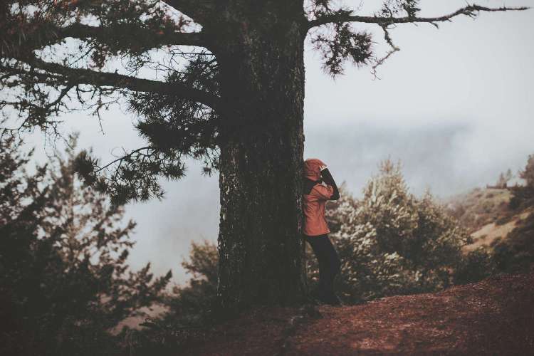 person in raincoat leaning against a tree in fog