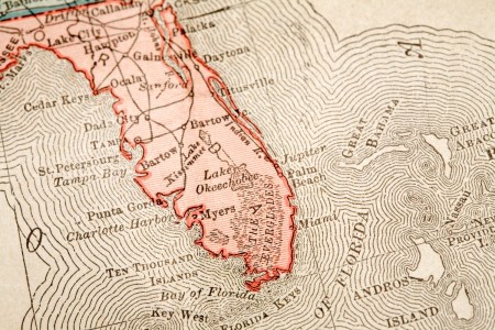 A New Competition Seeks Peak Florida Man