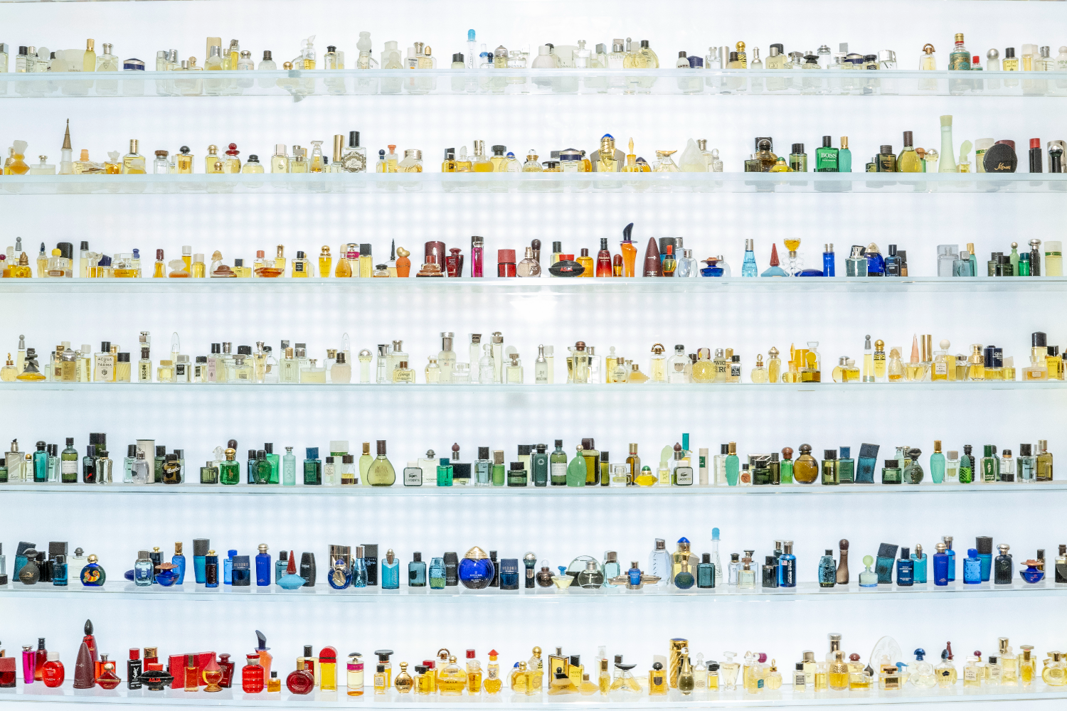color coordinated fragrances sitting on glass shelves