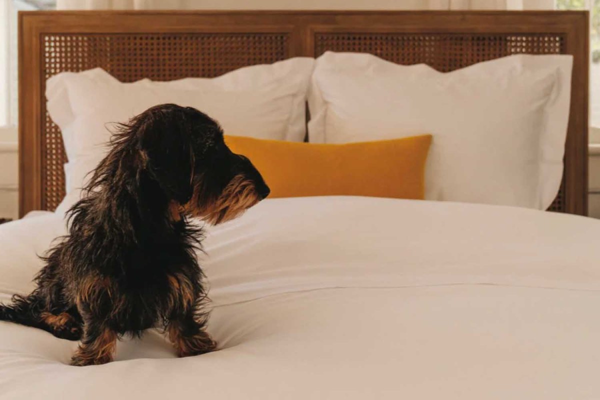 The Best Duvet Cover Hack Pippen House’s Zippered System InsideHook