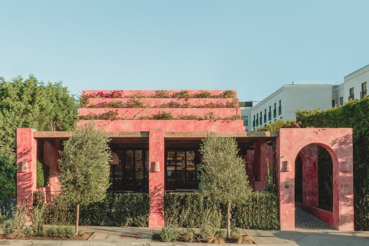 pink building with plants