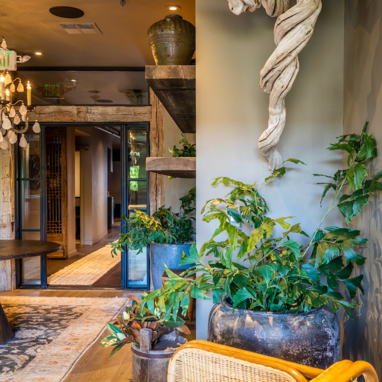 an entrance to a spa with plants, wooden beams and stone accents