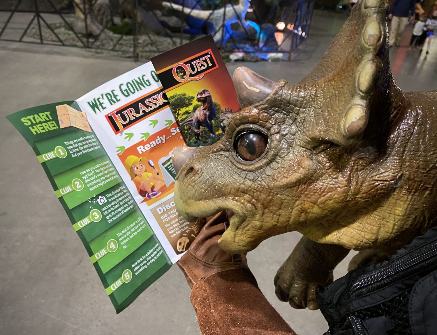 small dinosaur looking at pamphlet 
