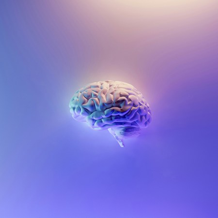 A digitally-generated brain against a purple background.