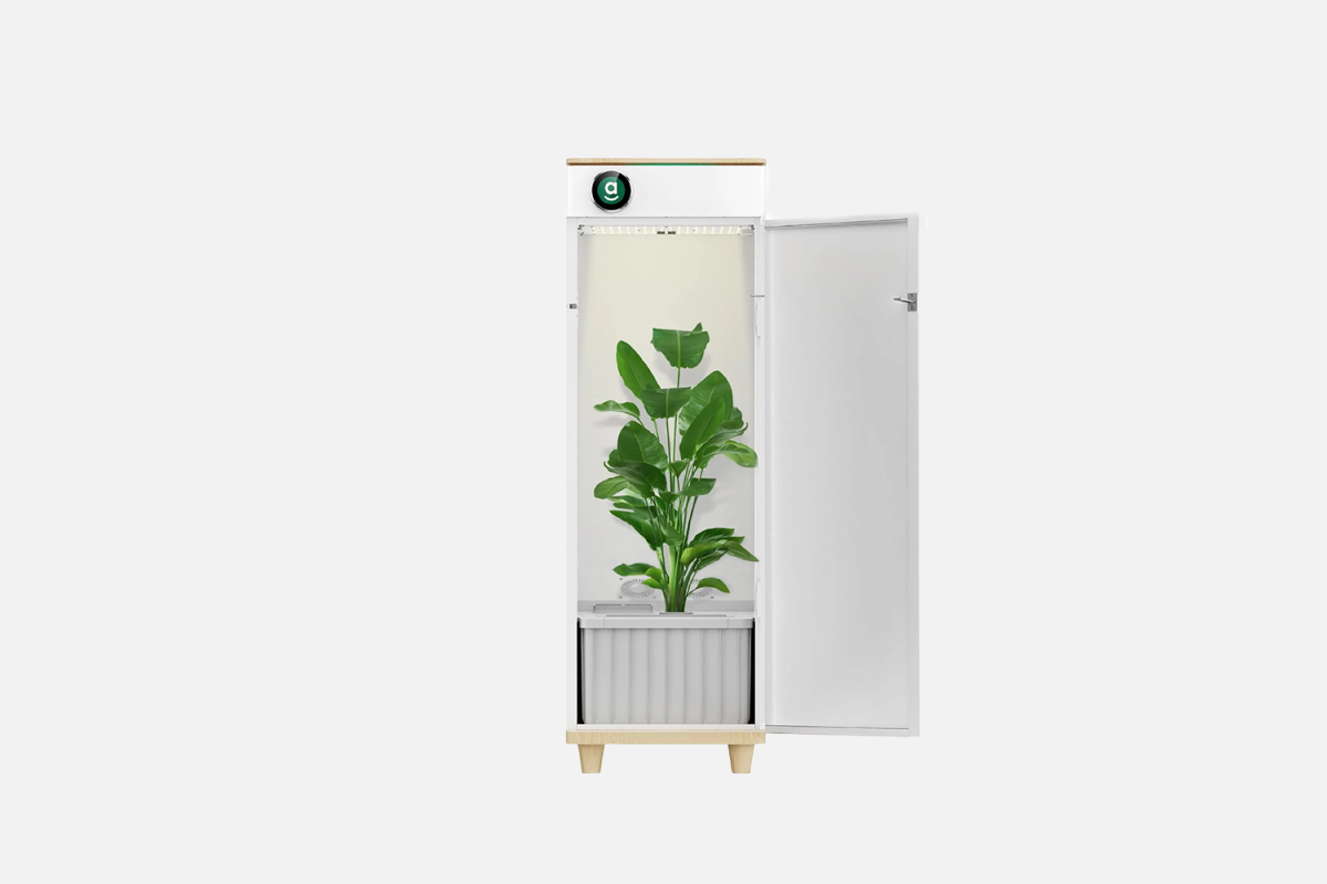 <strong>hey abby 420 Edition Grow Box</strong>