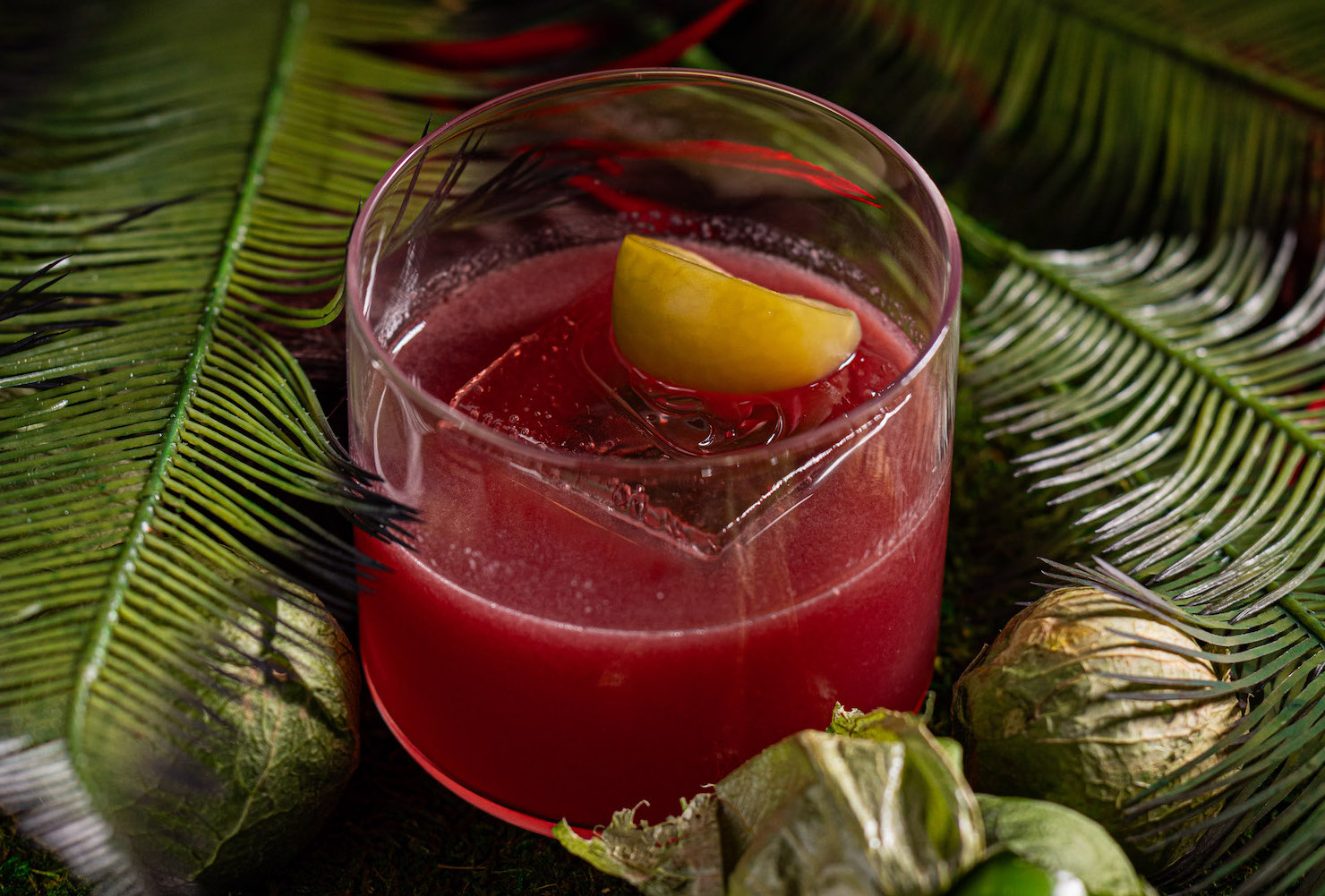 a red cocktail in a lowball glass surrounded by palm leaves