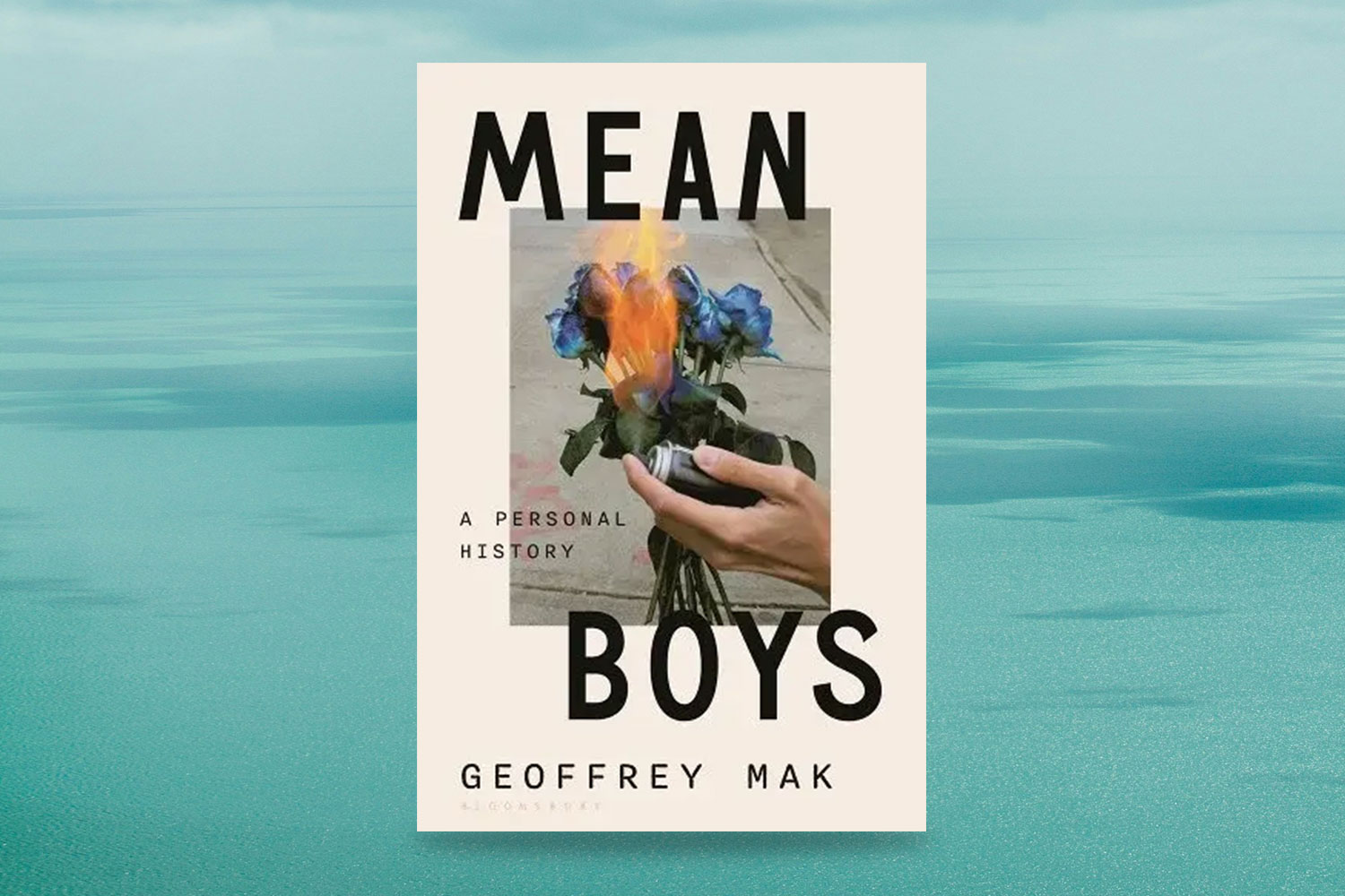 Geoffrey Mak, Mean Boys: A Personal History