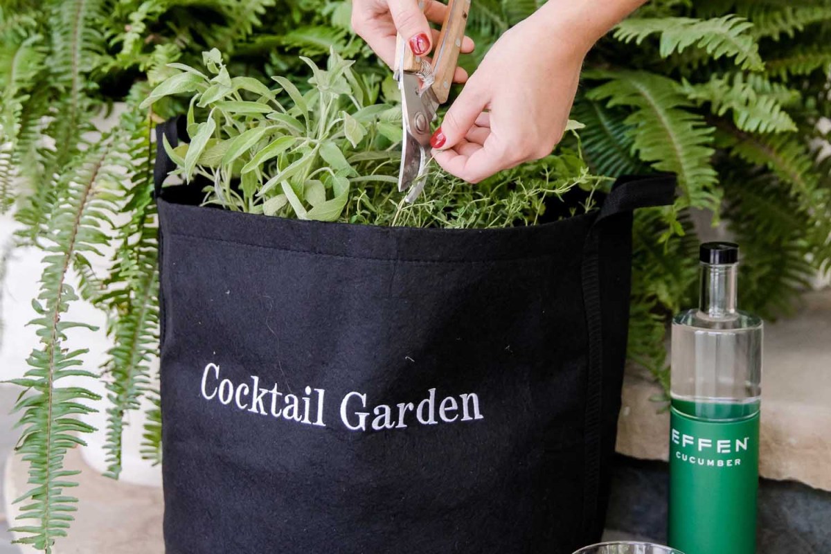 Gardenuity Cocktail Garden Kit