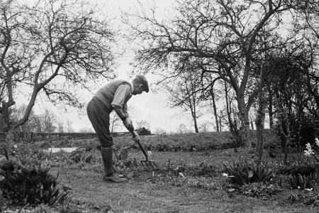 A man gardening in Aldworth, Berkshire, March 1945.