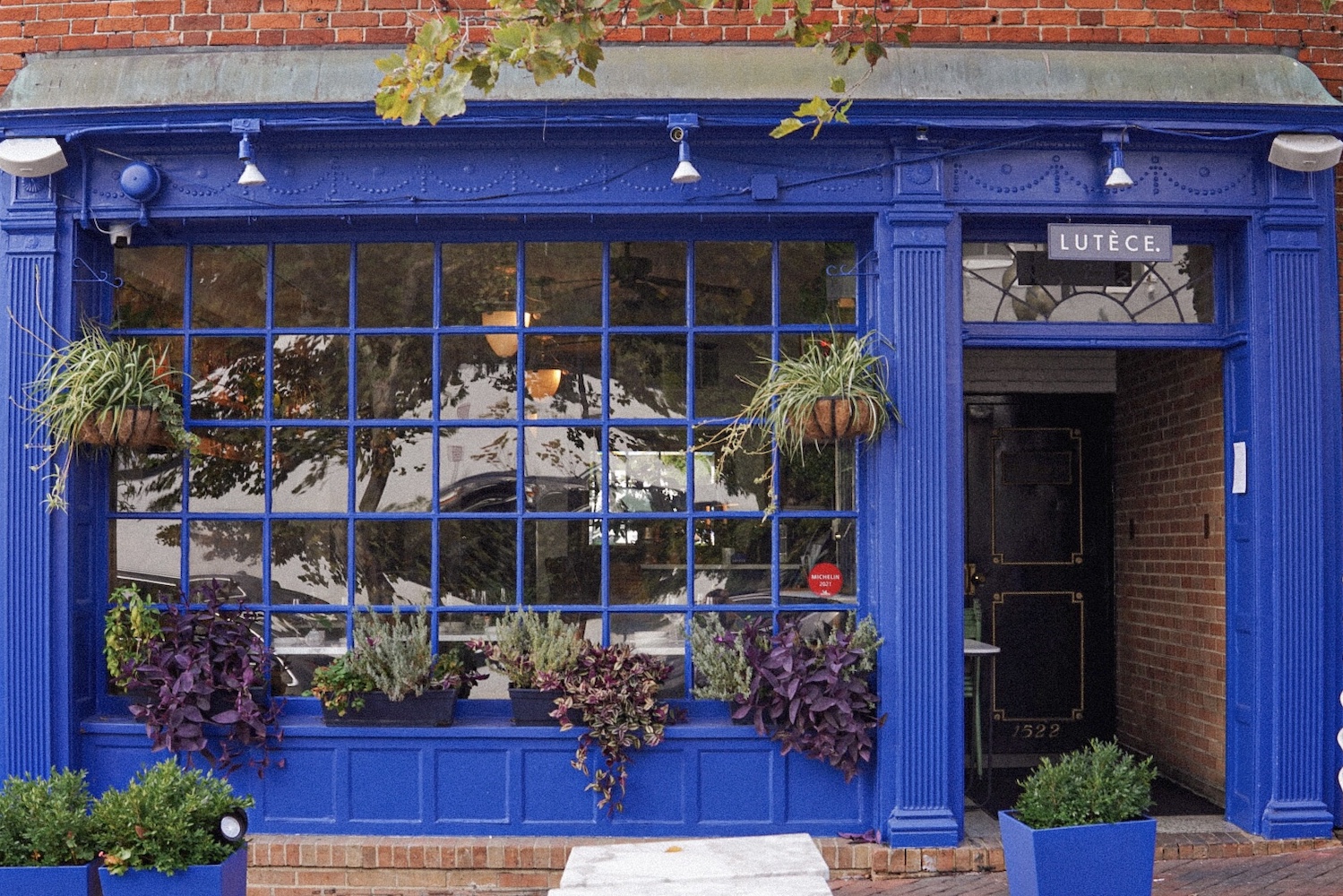 a bright cobalt blue and brick restaurant featuring a bunch of plants