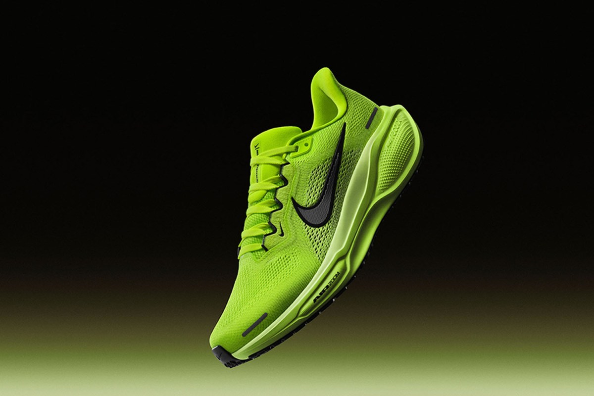 Nike Pegasus 41