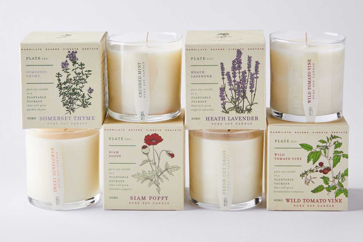 Kobo Candles Plant the Box Scented Candles