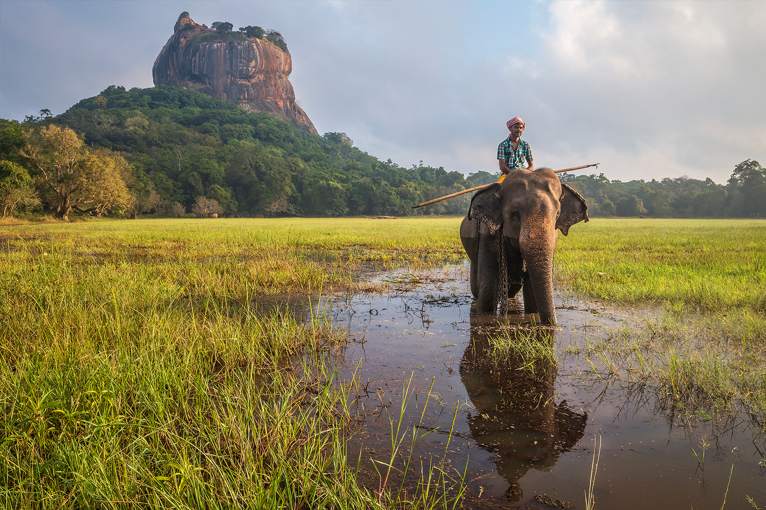 A mahout riding his elephant around Sigiriya Rock