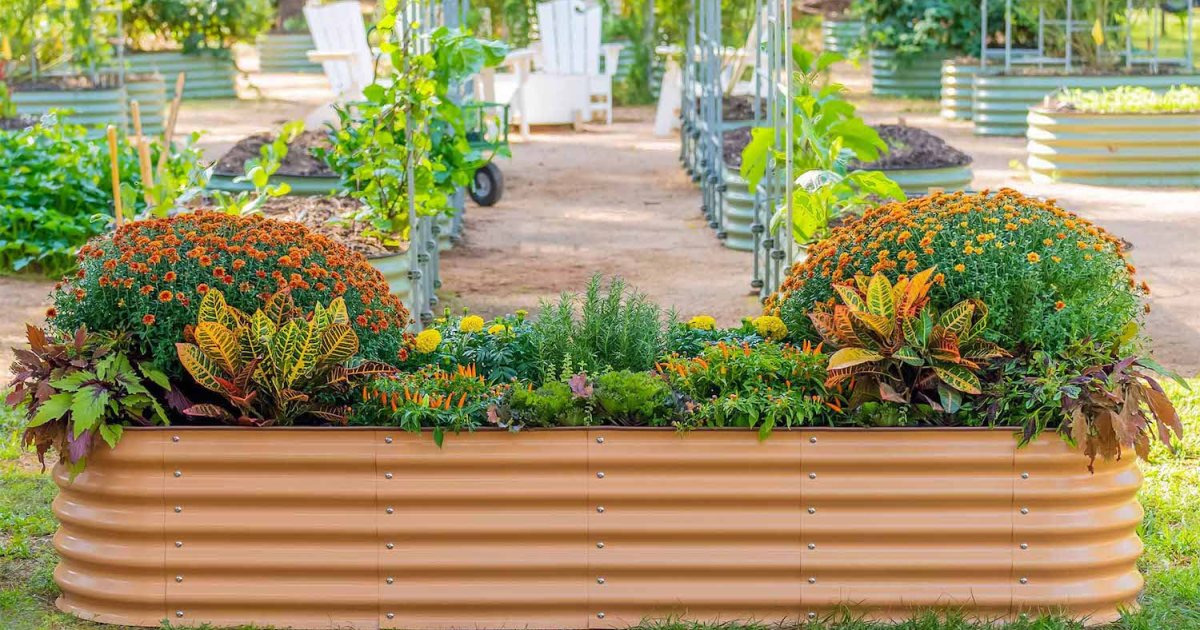 An orange vego garden bed teeming with colorful plants and flowers