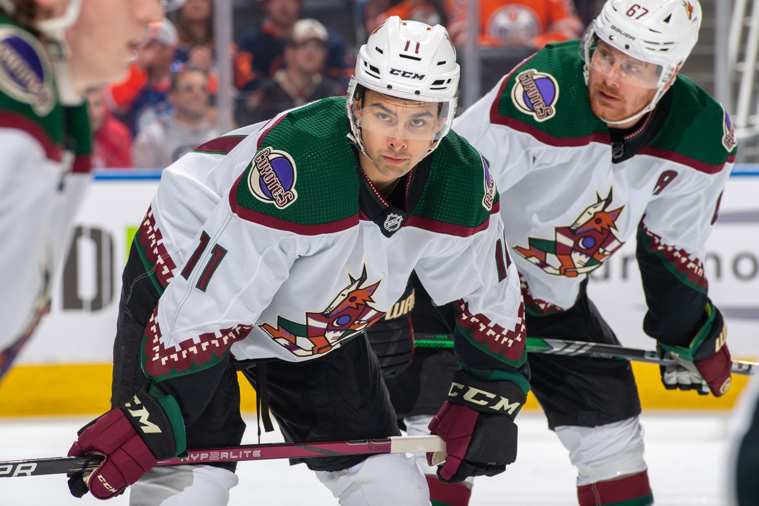Arizona Coyotes