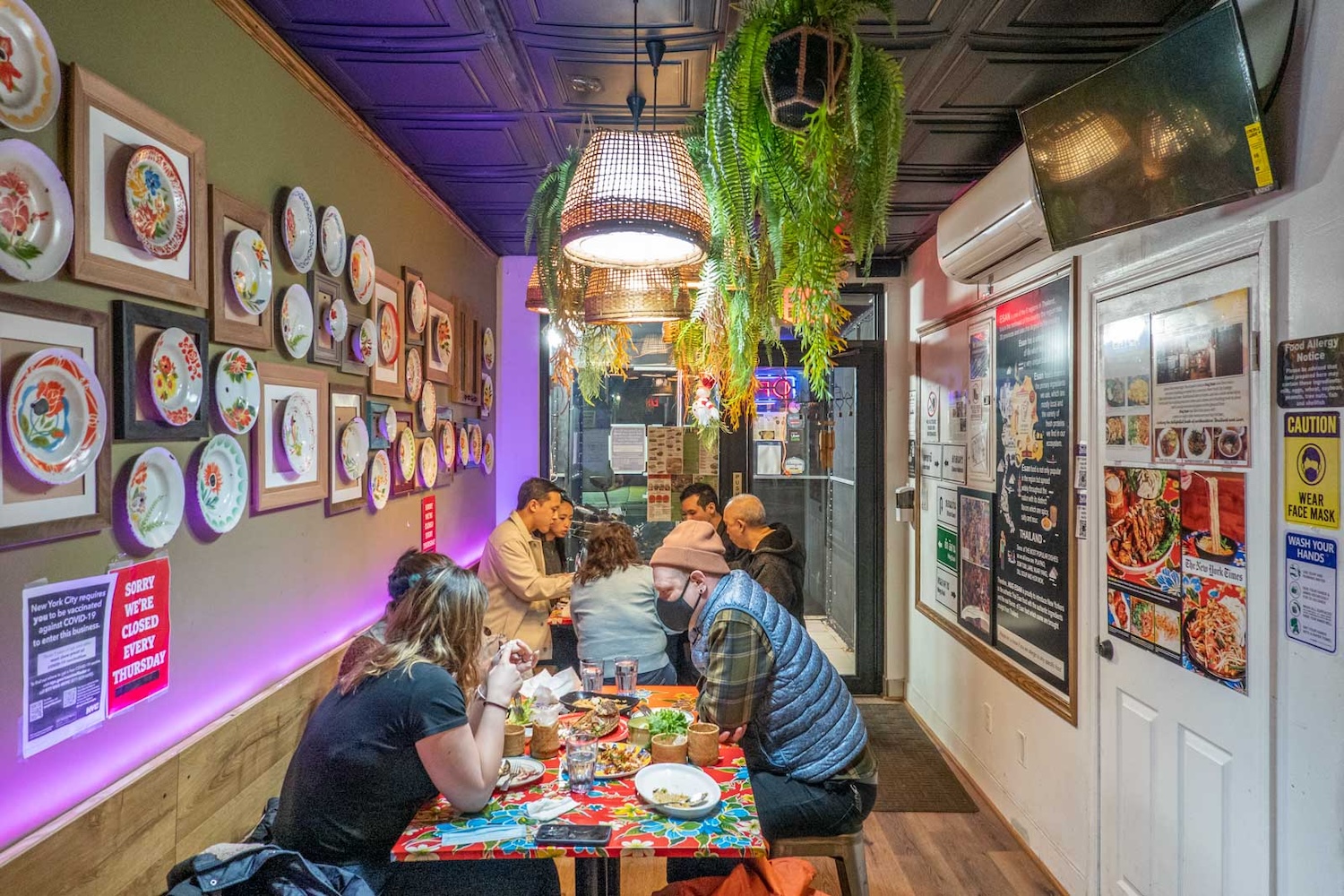 colorful room, people sitting at table with food, lamps and plants hanging, art on wall