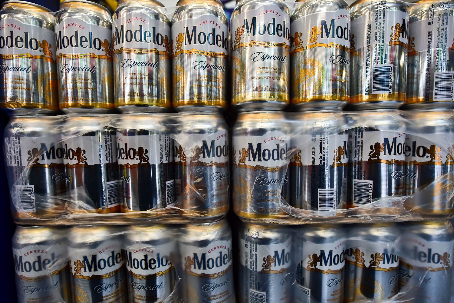 Modelo cans