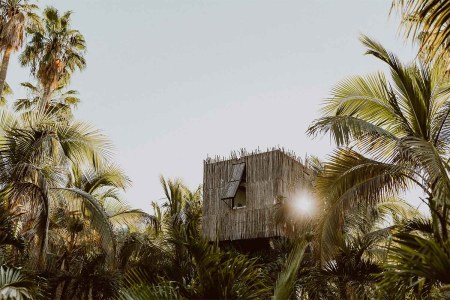 Treehouse lodging and Acre Resort, located just outside San José del Cabo