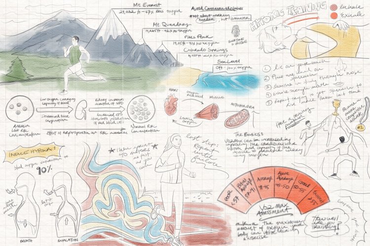 An original illustration detailing how to simulate altitude training from sea level. We spoke with professor Grégoire Millet to get his expert advice on hypoxic training.