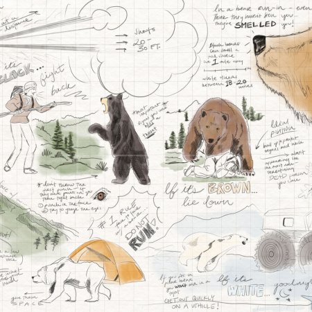An original illustration detailing how to escape a bear. We spoke with Dr. Rae Wynn-Grant to get her expert advice.