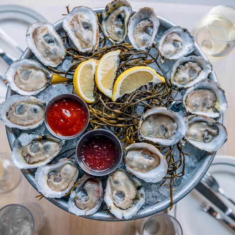 Fresh oysters with various sauces and lemon on ice tray served in a luxury restaurant
