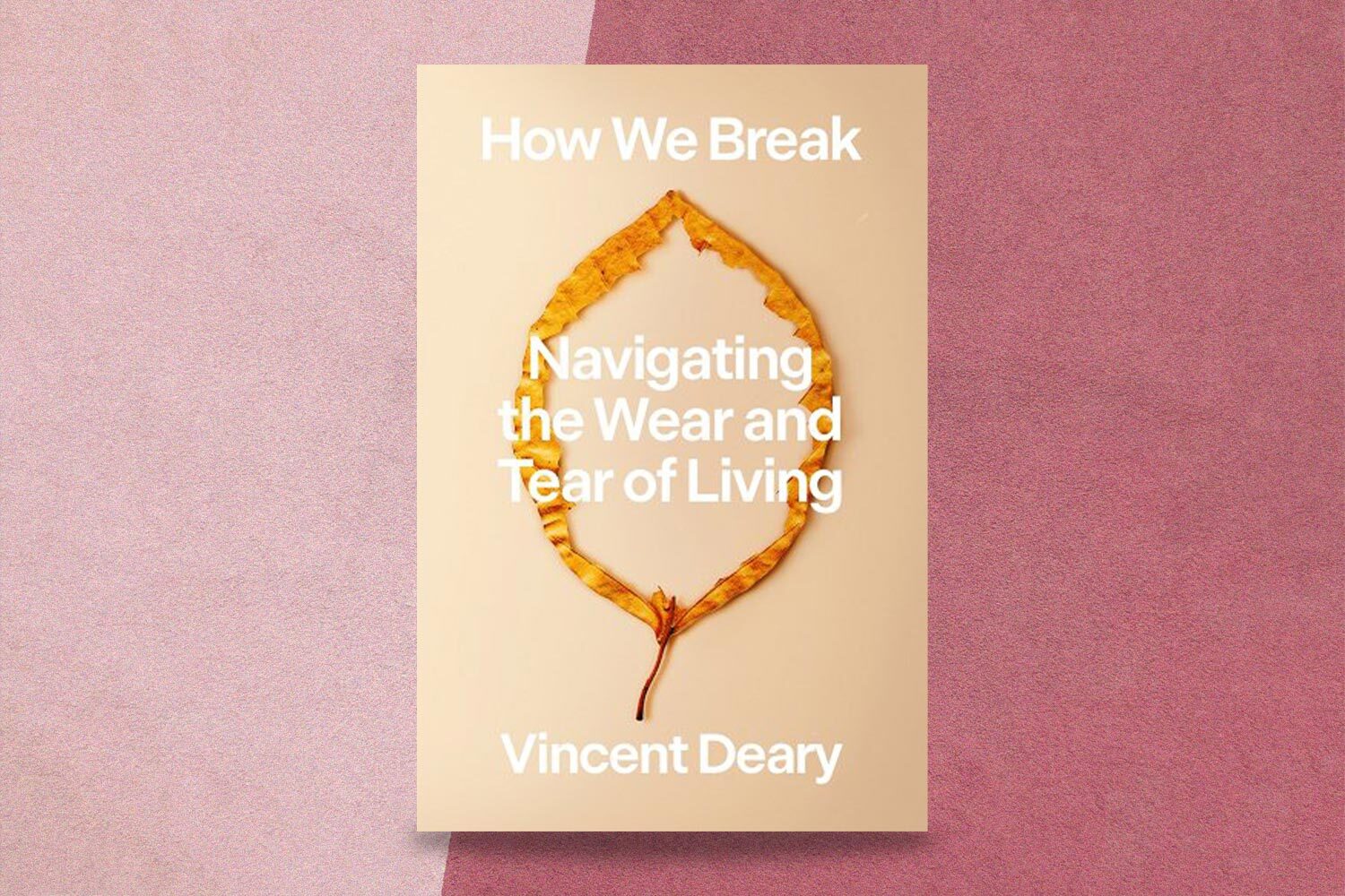 Vincent Deary,  How We Break: Navigating the Wear and Tear of Living