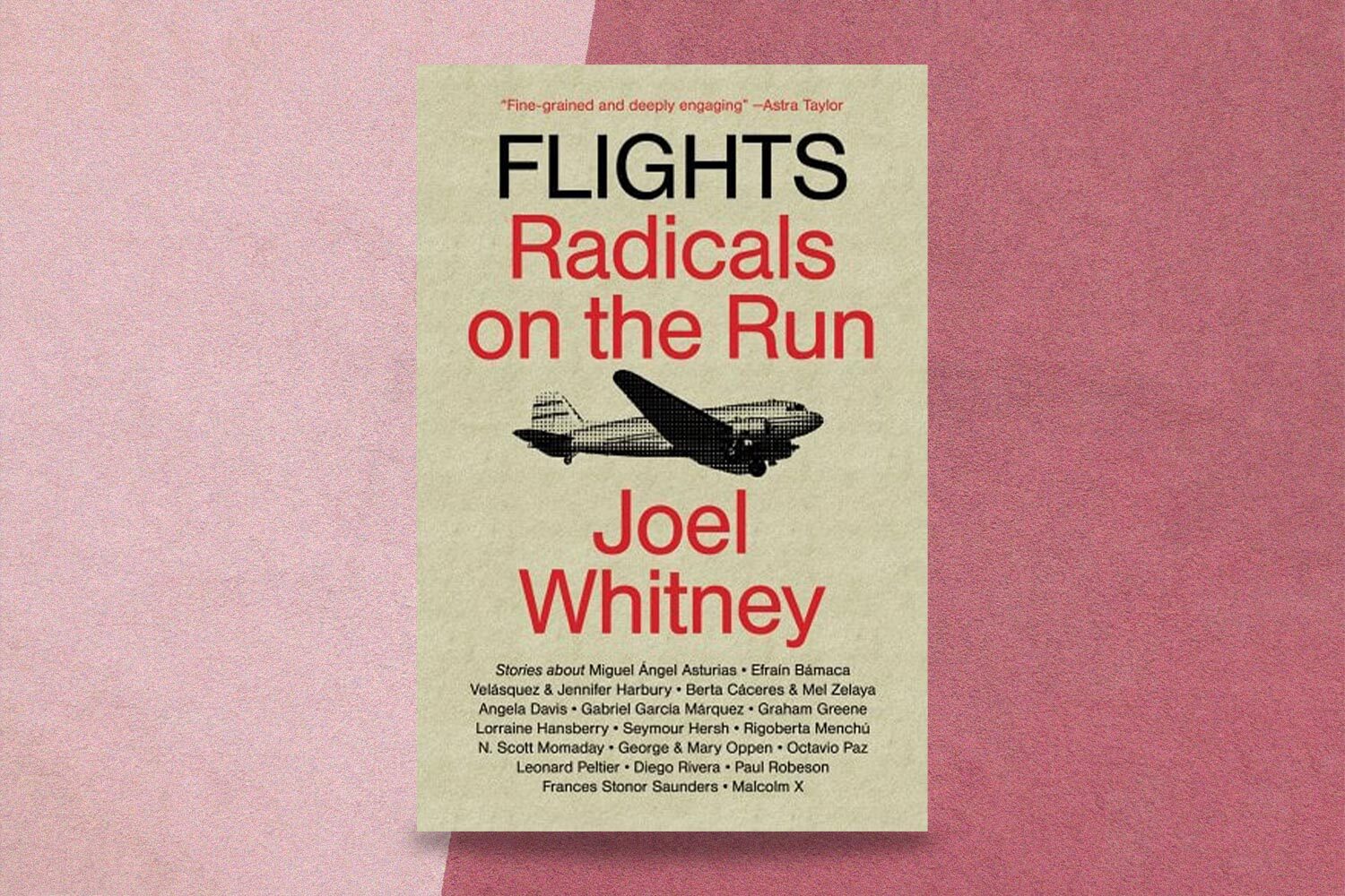 Joel Whitney, Flights: Radicals on the Run 
