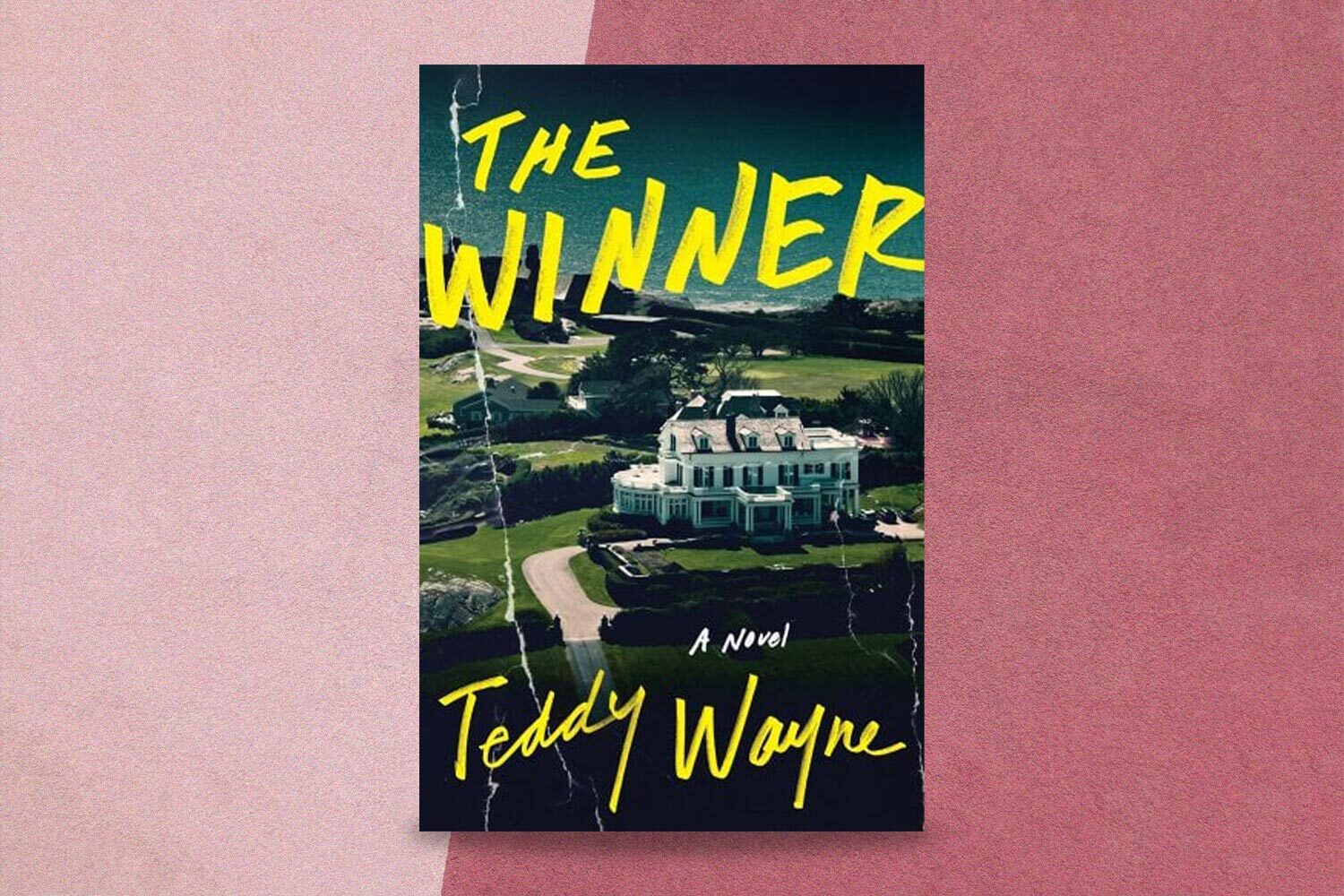 Teddy Wayne, The Winner 