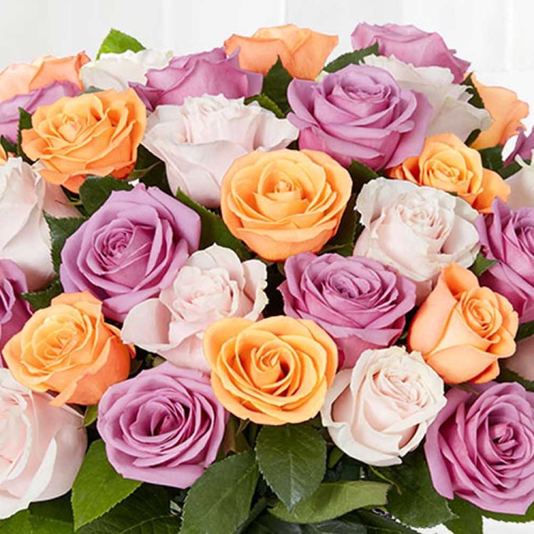 Sorbet Roses from 1-800-Flowers
