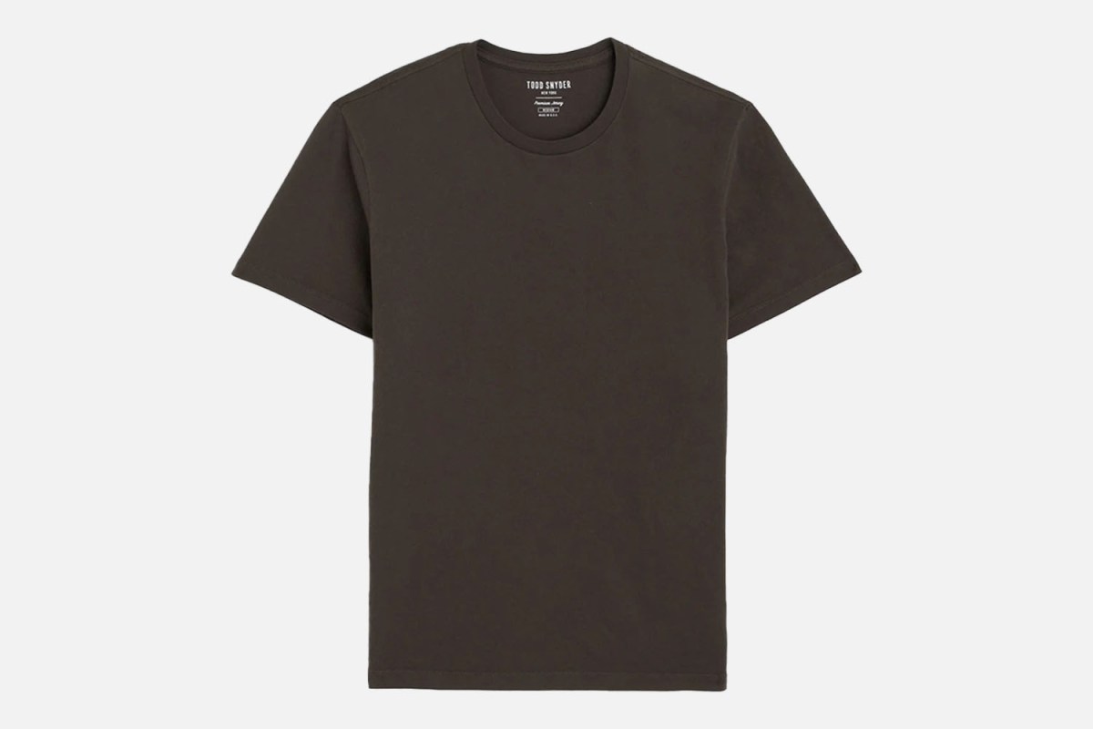 The "Fit Is Everything" Choice: Todd Snyder Made In L.A. Premium Jersey T-Shirt