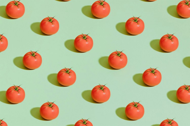 An illustration of tomatoes against a green background. Today we look at the concept of energy density in food.