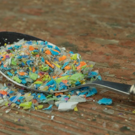 Microplastics in a spoon. A recent study found microplastics in 100% of the human testicles they analyzed.