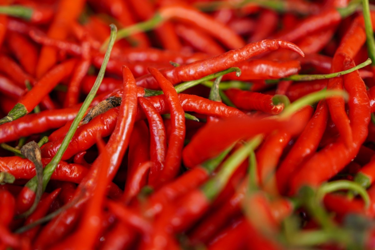 Somehow, Chili Peppers Are Getting Both More and Less Spicy - InsideHook