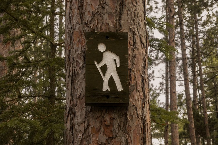 A walking sign-post nailed to a tree.