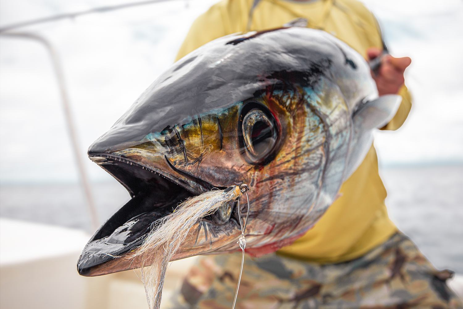 The infamous Darién Gap is home to some of the best saltwater fly fishing on the planet