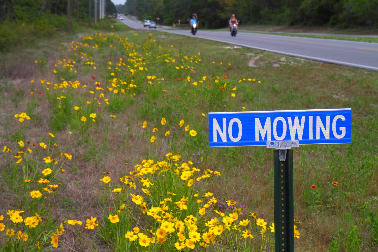 Roadside, highway 30A