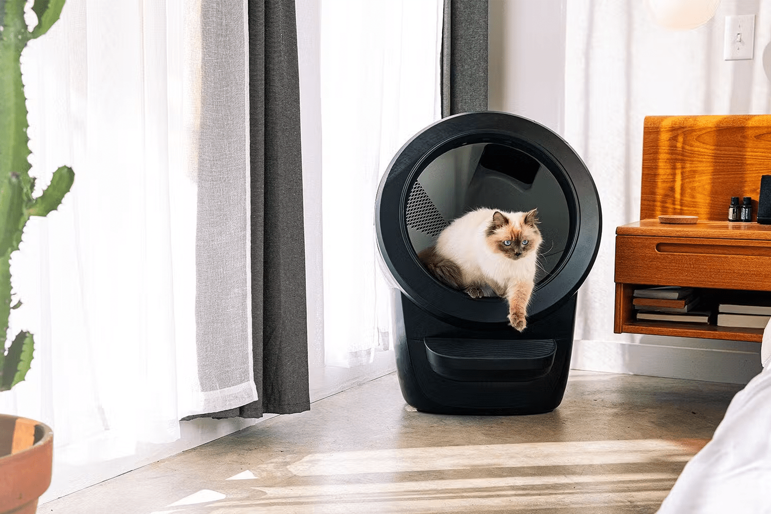 This Litter Box Makes Cleanup Duty a Breeze InsideHook